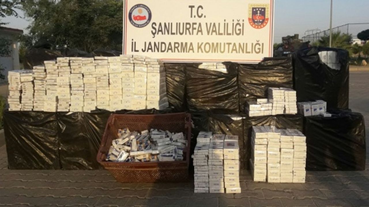 18.340 paket kaçak sigara ele geçirildi.