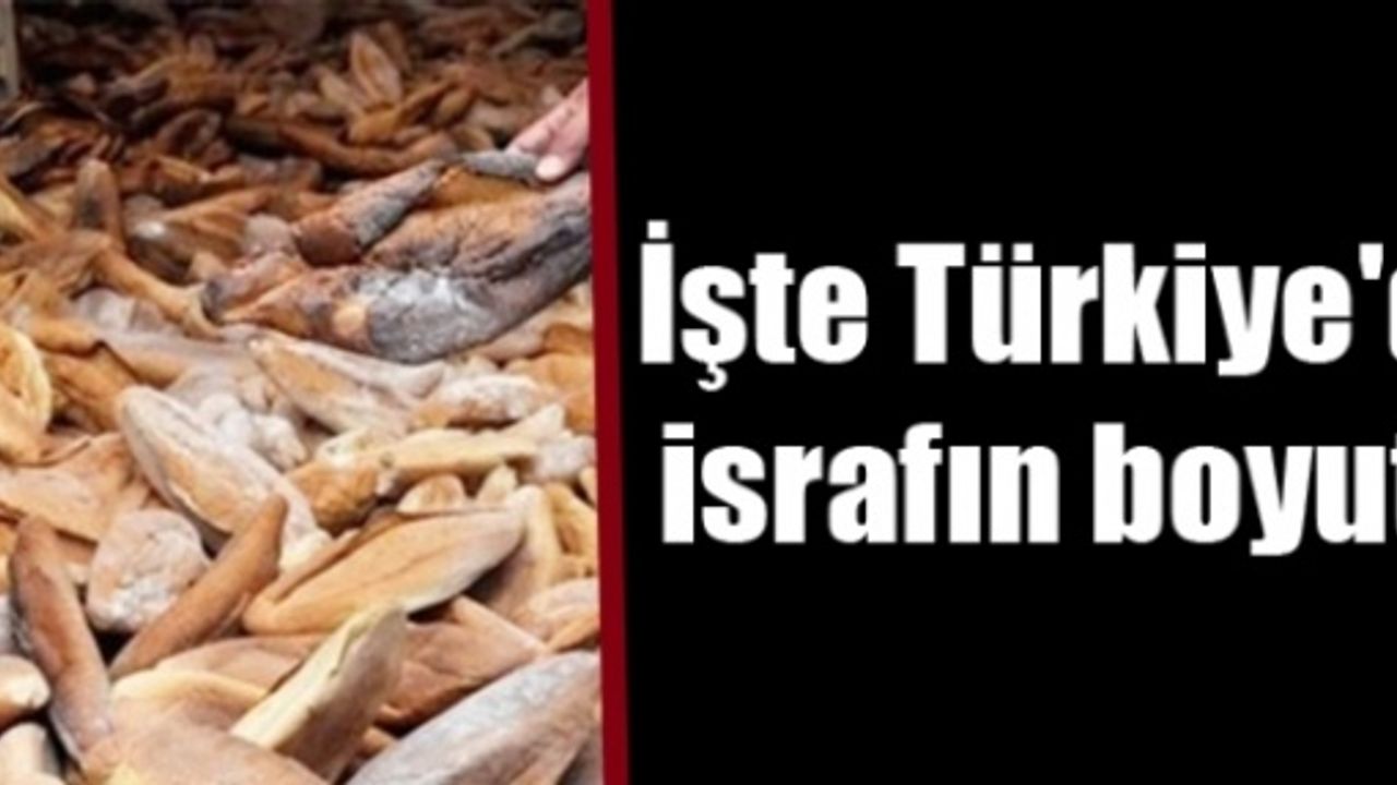 Akıllı telefon kullanımı yüzde 84’ü buldu.