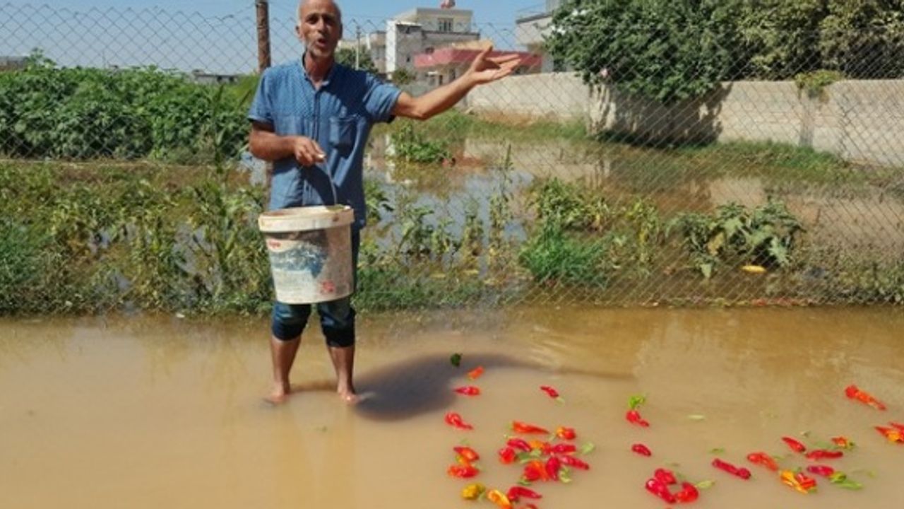 Suruç’ta ev ve iş yerlerini su bastı
