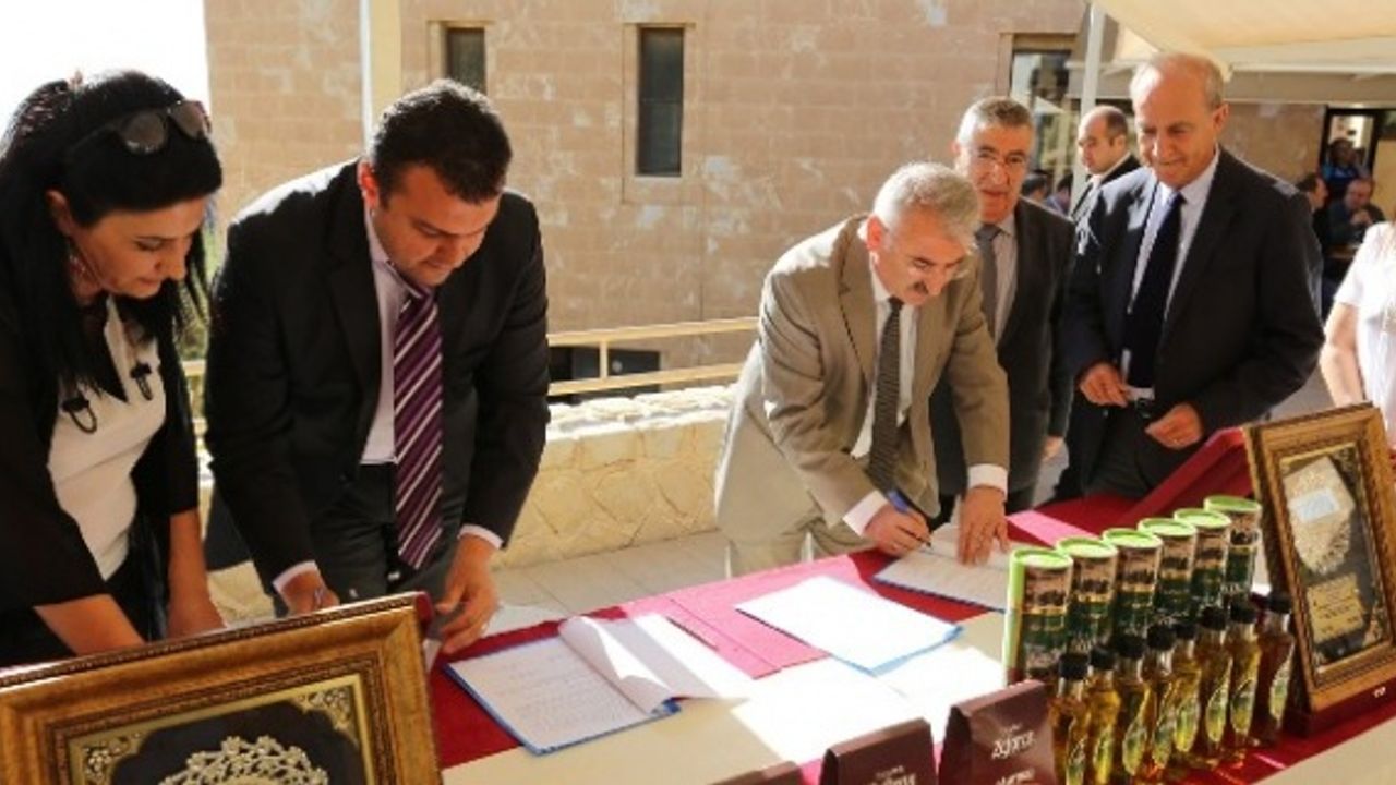 Harran Üniversitesi Zeytin Çeşitliliğini Gelecek Nesillere Aktaracak