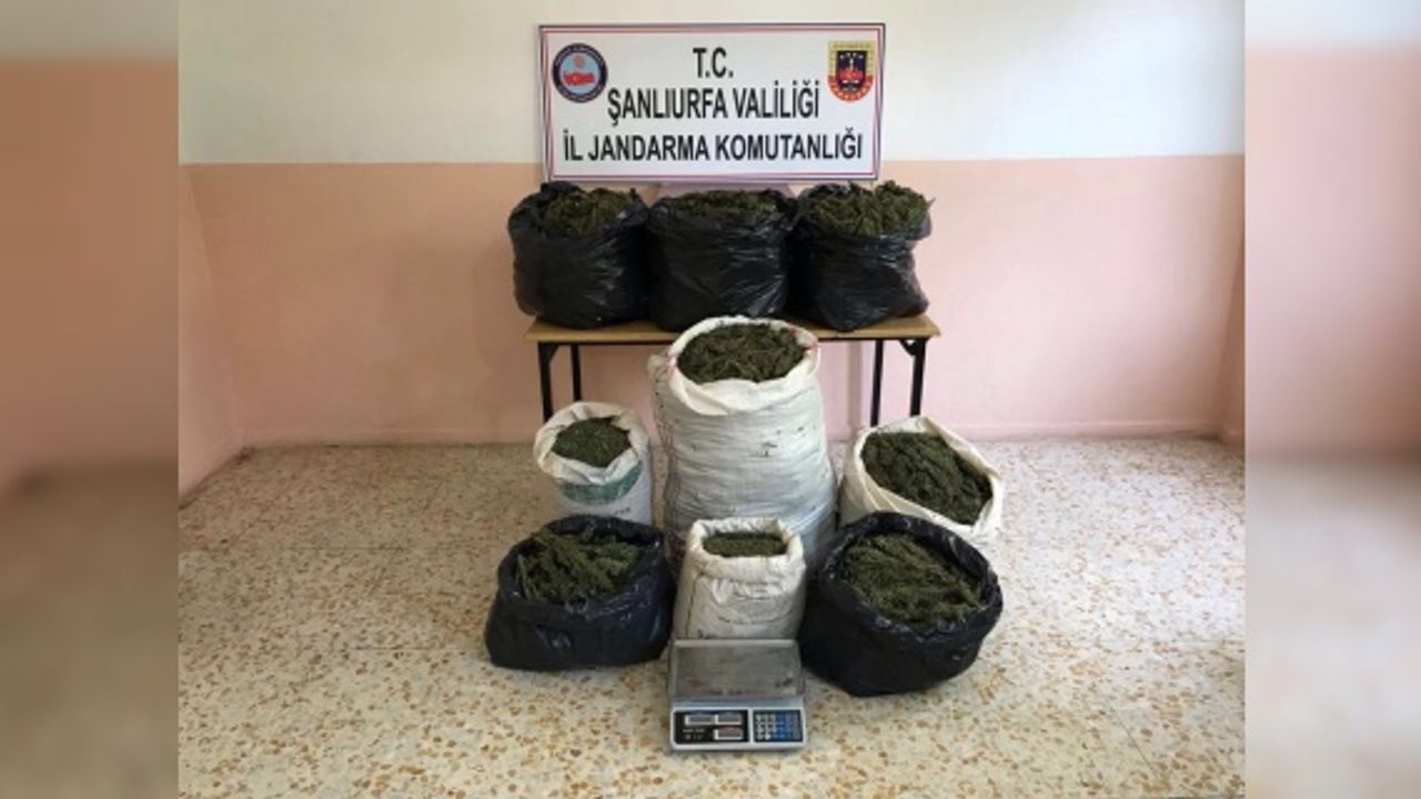 83 Kilo Esrar ele geçirildi, 3 Gözaltı
