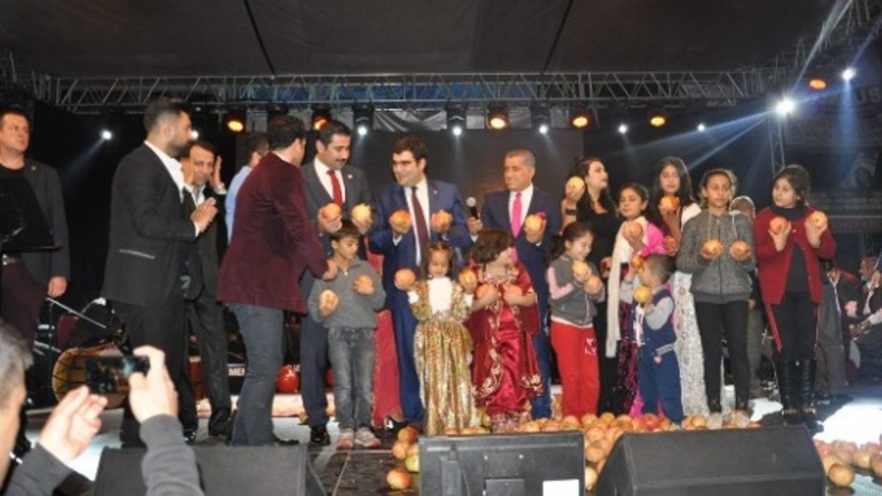 ‘Suruç Nar Festivali’ Coşku İle Kutlandı.