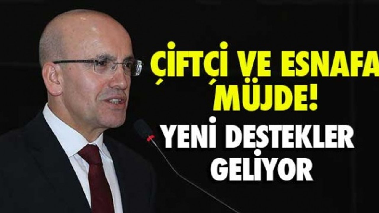 Çiftçi ve esnafa müjde! Yeni destekler geliyor