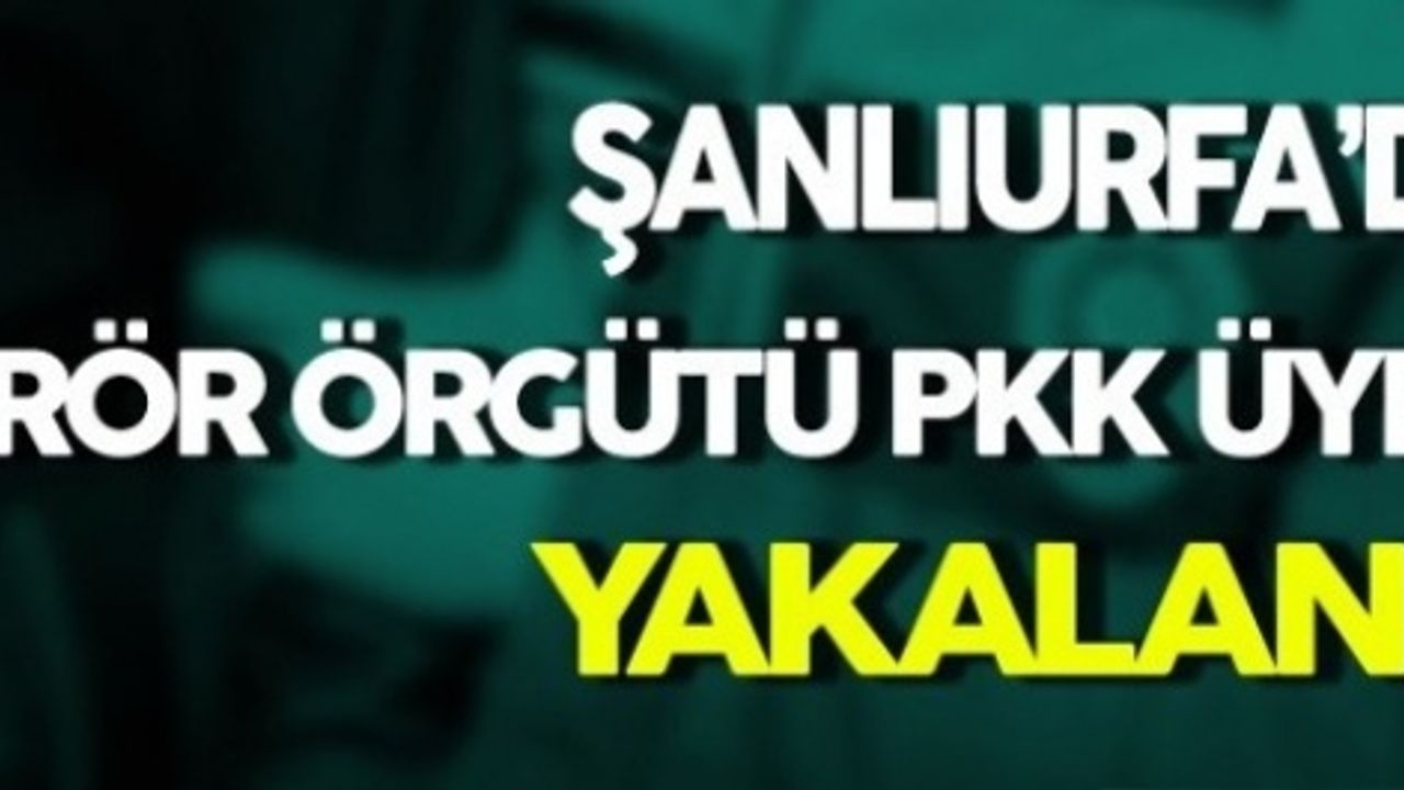 Şanlıurfa'da Bir Terörist Yakalandı