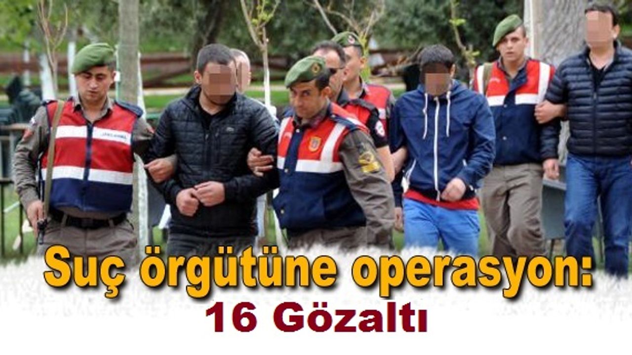 Şanlıurfa Merkezli Suç Örgütüne Operasyon
