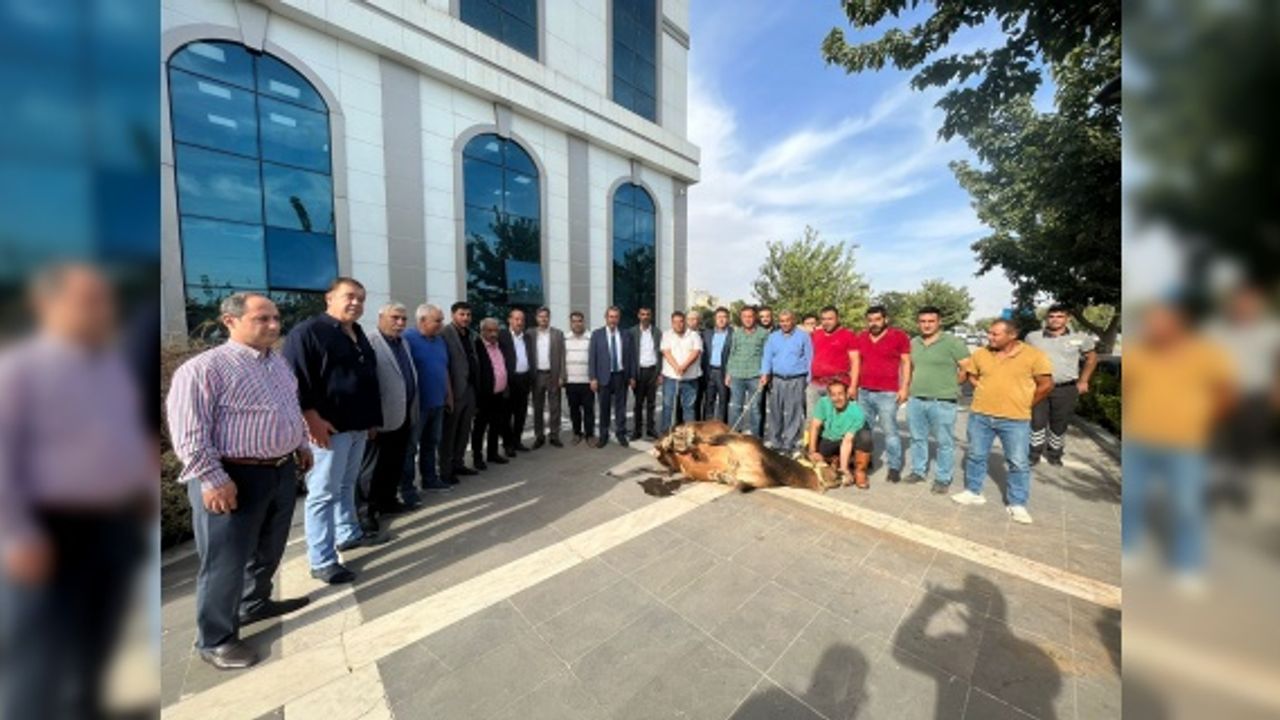 Başkan Kaya, borsa başkanlığında tebrikleri kabul etmeye devam ediyor.