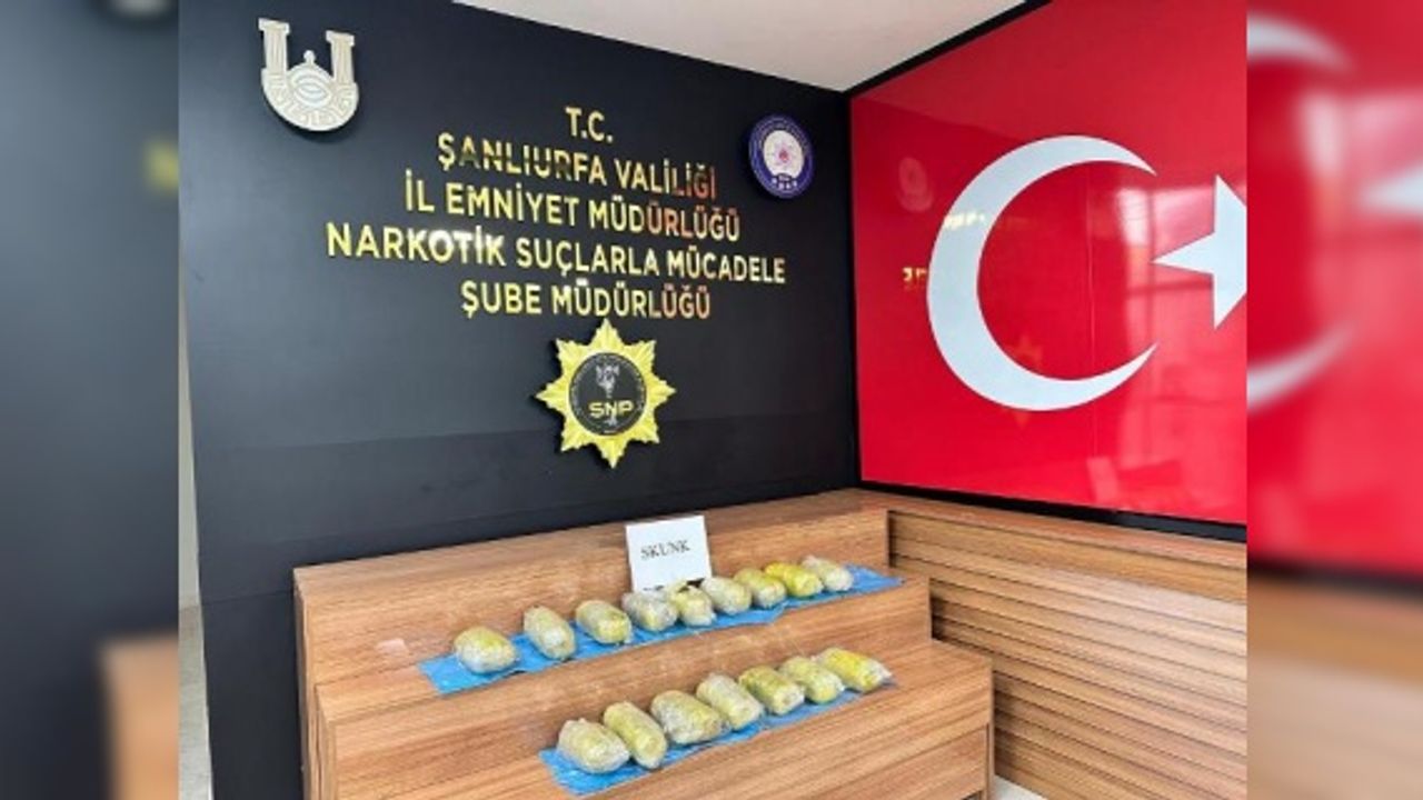 16 paket halinde 11.500 gr skunk ele geçirildi.