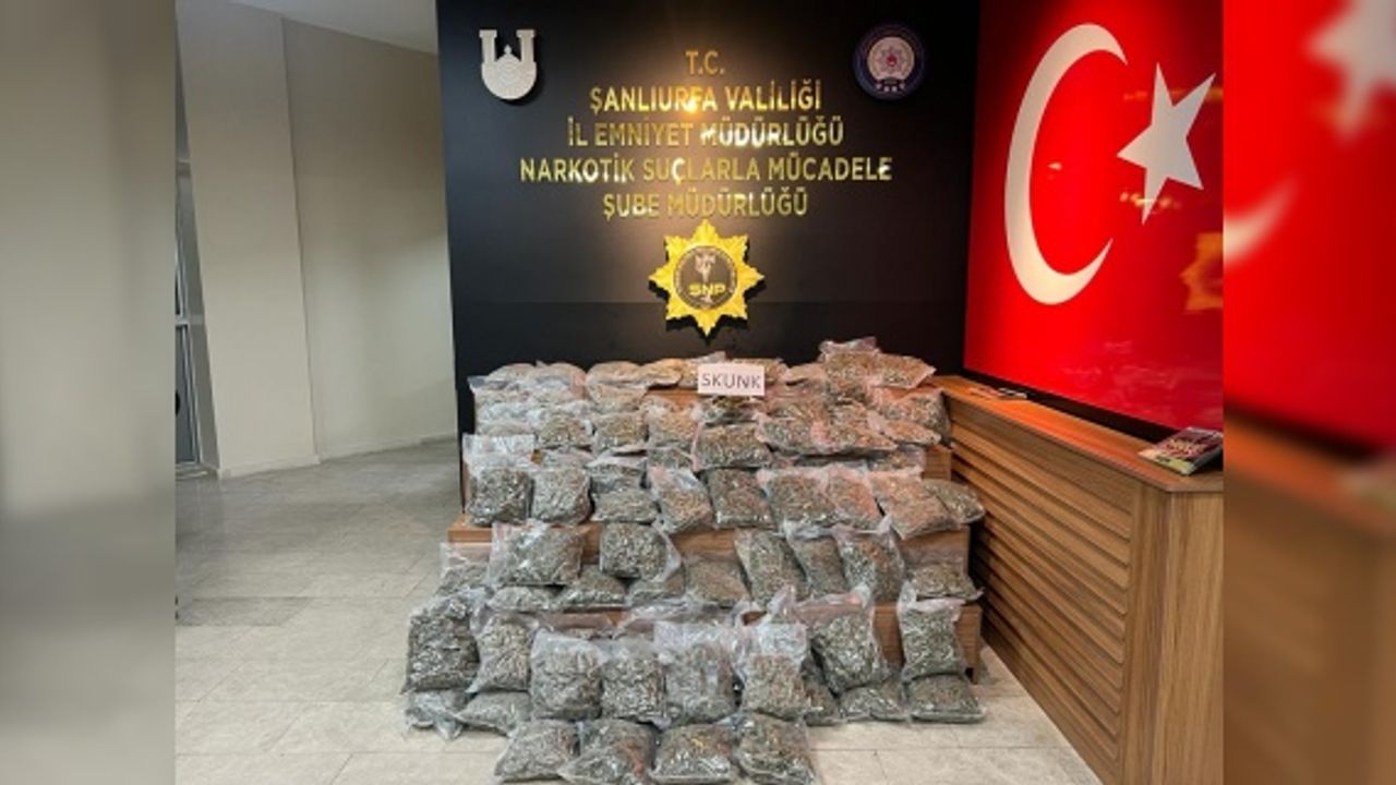 46 Kilo 500 Gram Skunk ele geçirildi