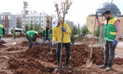 KARAKÖPRÜ'DE YEŞİL ALAN SAYISI ARTIYOR