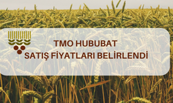 TMO HUBUBAT SATIŞ FİYATLARI BELİRLENDİ