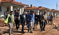 VALİ HASAN ŞILDAK, HALFETİ’DE İNCELEMEDE BULUNDU