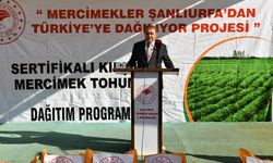 VALİ ŞILDAK, MERCİMEK TOHUMU DAĞITIM PROGRAMINA KATILDI