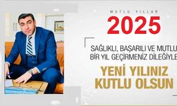 Bülbül "sağlık ve mutluluğun hakim olduğu, bereket ve huzur dolu bir 2025 yılı geçirilmesini temenni ederim"