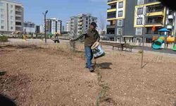 KARAKÖPRÜ'DE YENİ PARKLAR ÇİMLENDİRİLİYOR