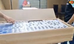 Günbay "Kaçakçılıkla Mücadele kararlılıkla devam ediyor"