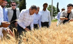 Vali Şıldak “Şanlıurfa, Buğday Üretiminde Ülkemizin Lokomotifi”