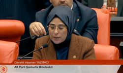 Yazmacı Şanlıurfa'nın sorunlarını Meclis Gündemine taşıdı