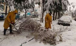 HALİLİYE BELEDİYESİ KARLA MÜCADELEYİ DÖRT KOLDAN SÜRDÜRÜYOR