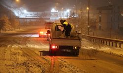 BÜYÜKŞEHİR BELEDİYESİ ULAŞIMI AKSATMADI