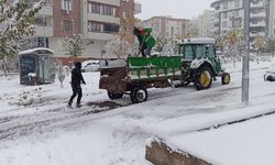 KARAKÖPRÜ BELEDİYESİ KARLA MÜCADELEDE TEYAKKUZDA
