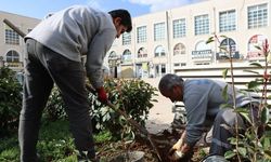 BÜYÜKŞEHİR, AĞAÇ VE BİTKİ DİKİMLERİNİ HIZLANDIRDI