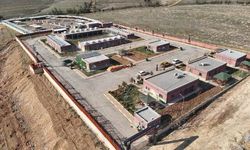 Sahipsiz Hayvanların Toplanmasında Hedefe Ulaşıldı