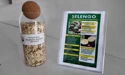 ŞANLIURFA’DA ATA TOHUMLARI ÇİFTÇİLERLE BULUŞUYOR