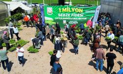 BÜYÜKŞEHİR, 1 MİLYON FİDE DAĞITARAK ÜRETİCİYİ DESTEKLEDİ