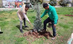 HALİLİYE BELEDİYESİ’NDEN PARK VE YEŞİL ALANLARDA BAKIM SEFERBERLİĞİ