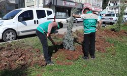 HALİLİYE’DE YAZ ÖNCESİ PARKLARDA HUMMALI ÇALIŞMA