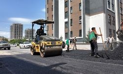 KARAKÖPRÜ’DE BOZULAN YOLLAR SICAK ASFALTLA YENİLENİYOR