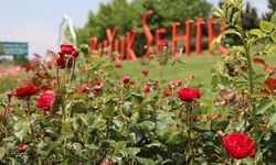 BÜYÜKŞEHİR KENDİ SERASINDA ÜRETTİ, ŞEHRİN DÖRT BİR YANINI ÇİÇEKLERLE DONATTI
