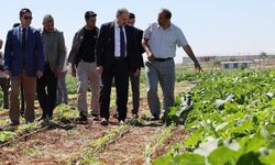 BAŞKAN GÜLPINAR’DAN DÜNYA ÇİFTÇİLER GÜNÜ MESAJI