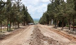 YENİ ASRİ MEZARLIKTA SICAK ASFALT ÇALIŞMASI YAPILACAK