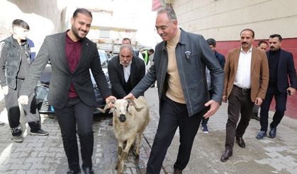 Günbay "Başkan Kuş,Ramazan ayında 400 ailenin et ihtiyacını karşılamak amacıyla koçların dağıtımına başladı"