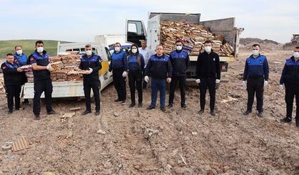 HALİLİYE’DE SAĞLIKSIZ DEPOYA BASKIN: 5 BİN KOLİ  YUMURTA İMHA EDİLDİ