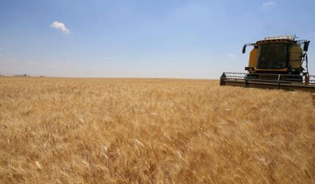 TOPRAK MAHSULLERİ OFİSİ 2024 HUBUBAT ALIM FİYATLARI BELİRLENDİ