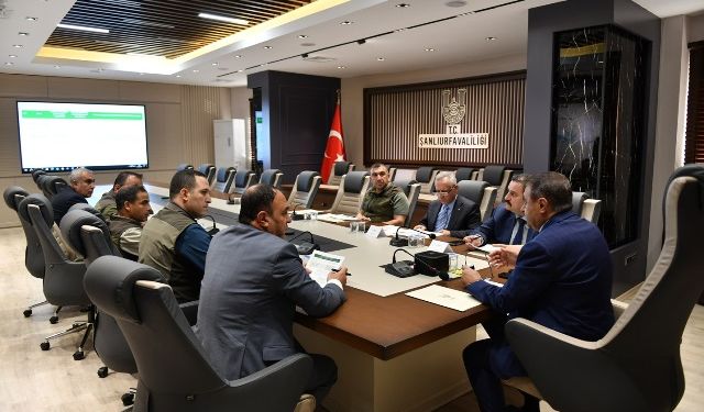 Sahipsiz Hayvanlar ve Bakımevleri Yakından Takip Ediliyor