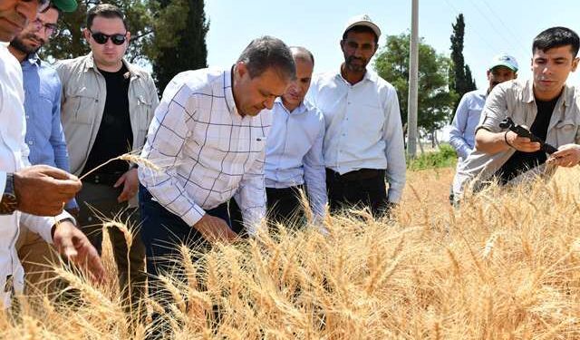 Vali Şıldak “Şanlıurfa, Buğday Üretiminde Ülkemizin Lokomotifi”