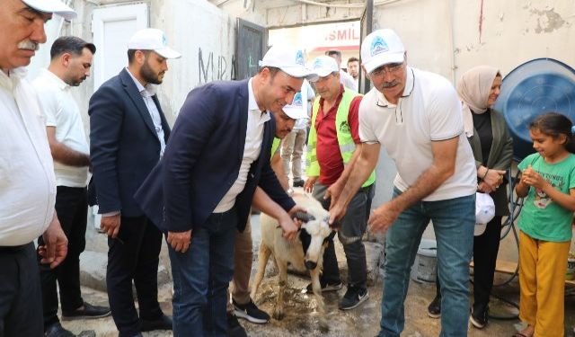 YETİM AİLELERİMİZE CANLI KURBANLIK DAĞITTIK