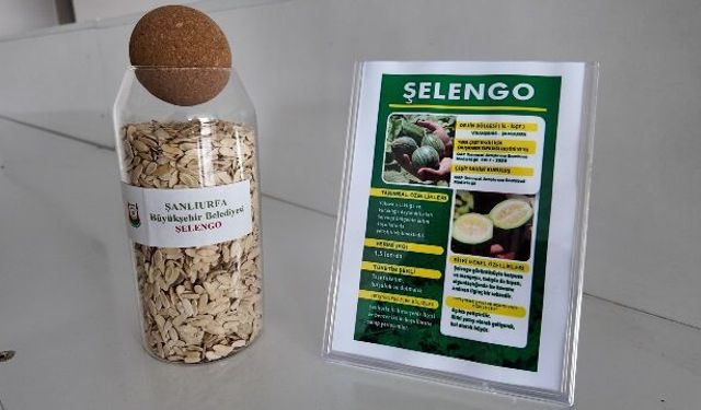 ŞANLIURFA’DA ATA TOHUMLARI ÇİFTÇİLERLE BULUŞUYOR