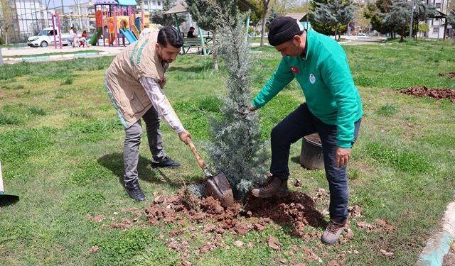 HALİLİYE BELEDİYESİ’NDEN PARK VE YEŞİL ALANLARDA BAKIM SEFERBERLİĞİ