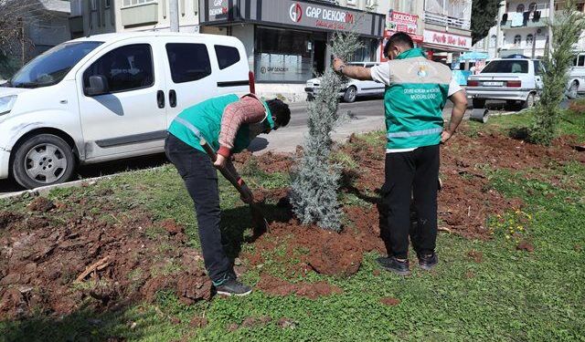 HALİLİYE’DE YAZ ÖNCESİ PARKLARDA HUMMALI ÇALIŞMA