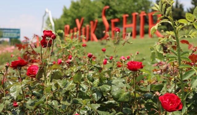 BÜYÜKŞEHİR KENDİ SERASINDA ÜRETTİ, ŞEHRİN DÖRT BİR YANINI ÇİÇEKLERLE DONATTI