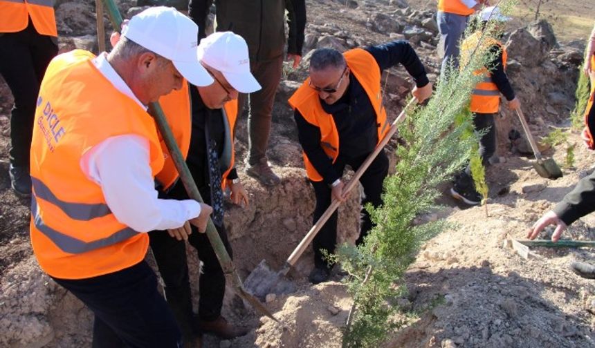 DEPSAŞ Enerji’den Geleceğe Yeşil Miras: 3 Bin Fidan Toprakla Buluşuyor