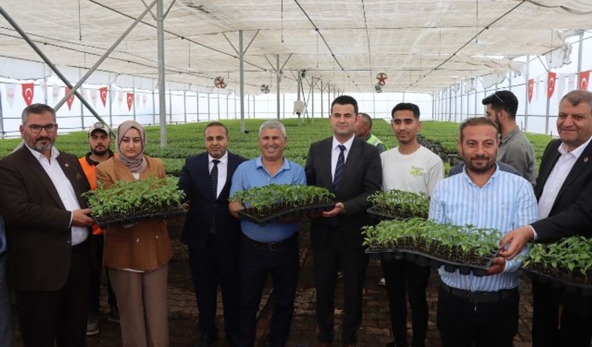 ÇİFTÇİLERE BİNLERCE URFA BİBERİ FİDESİ DAĞITILDI