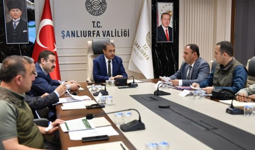 Sahipsiz Hayvanlar ve Bakımevleri Yakından Takip Ediliyor