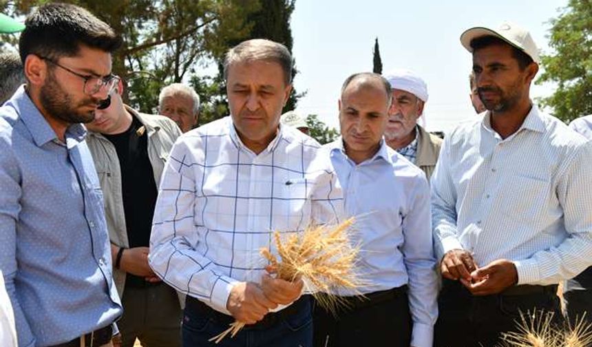 Vali Şıldak “Şanlıurfa, Buğday Üretiminde Ülkemizin Lokomotifi”