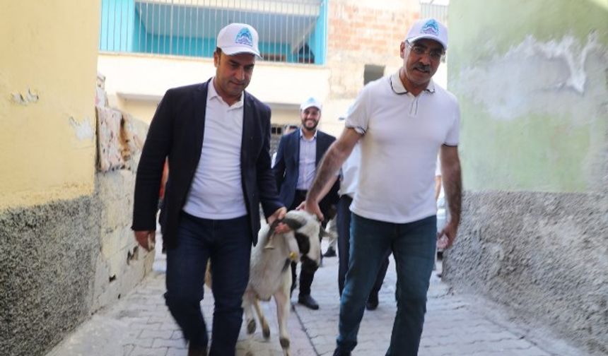 YETİM AİLELERİMİZE CANLI KURBANLIK DAĞITTIK