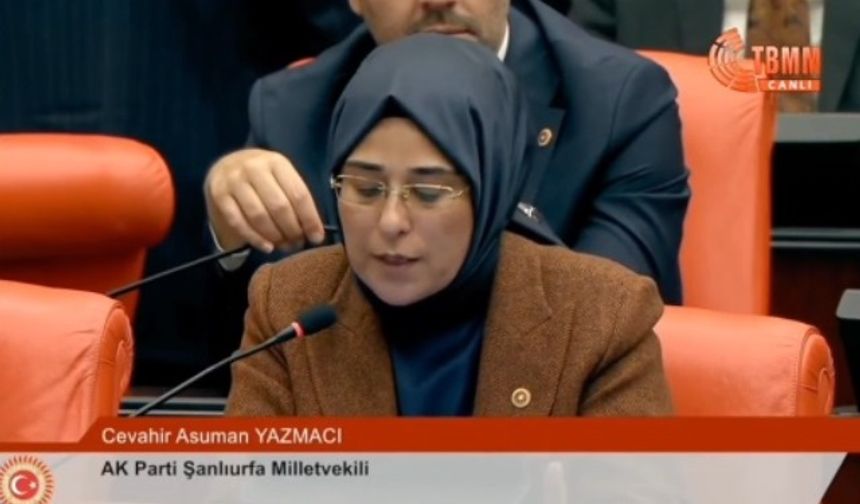 Yazmacı Şanlıurfa'nın sorunlarını Meclis Gündemine taşıdı